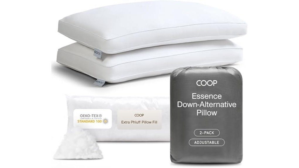 coop home goods pillow queen