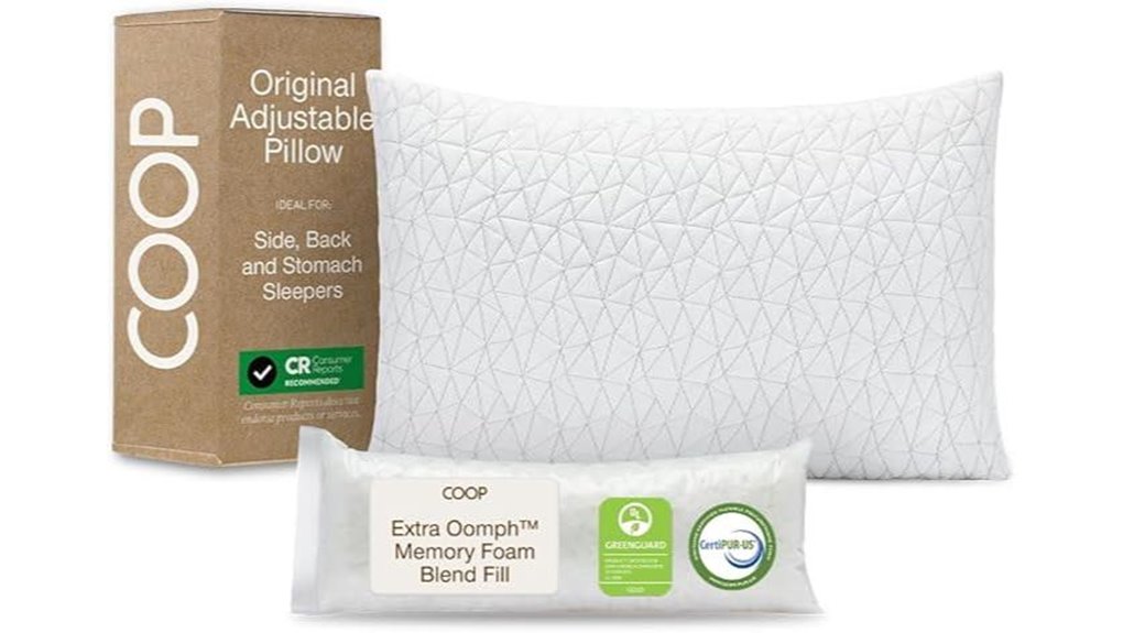coop home goods queen pillow