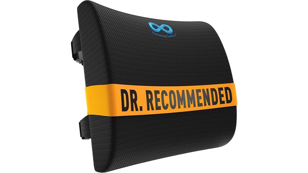 everlasting comfort lumbar pillow