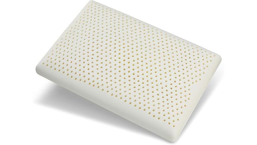 latex pillow with cover