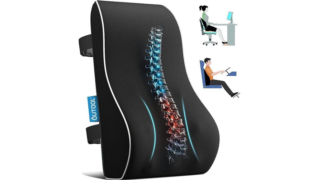 lumbar support pillow mesh