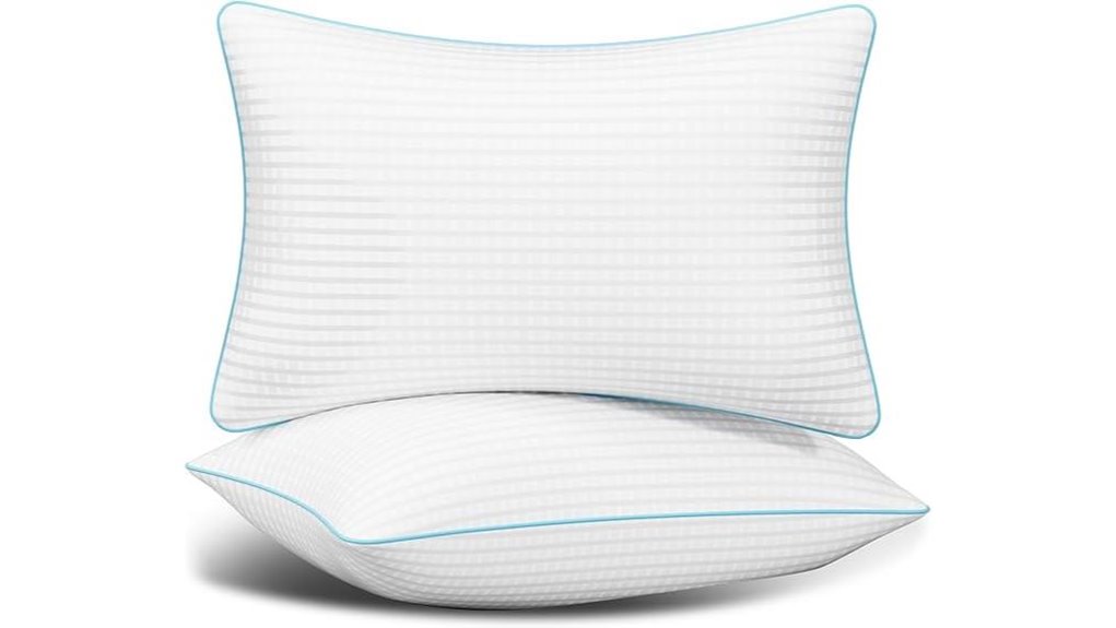 queen size pillow set 2