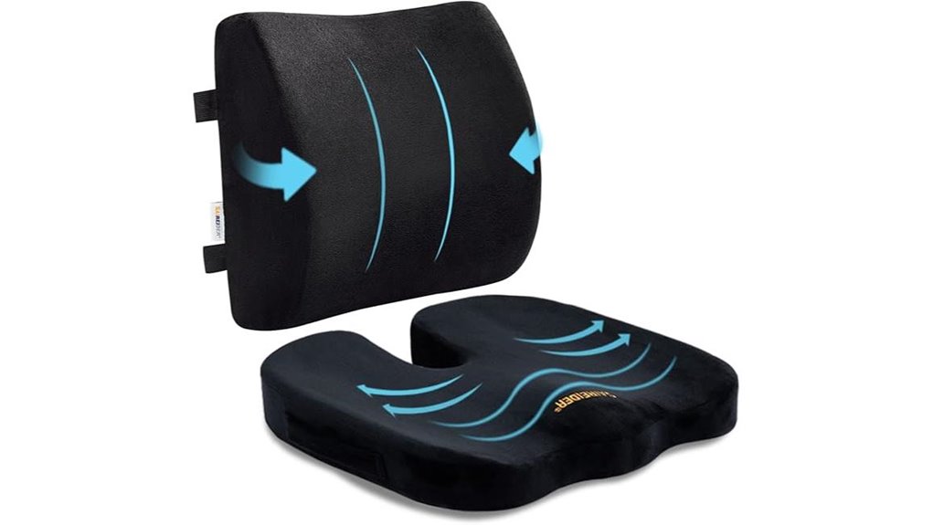seat cushion and lumbar pillow black
