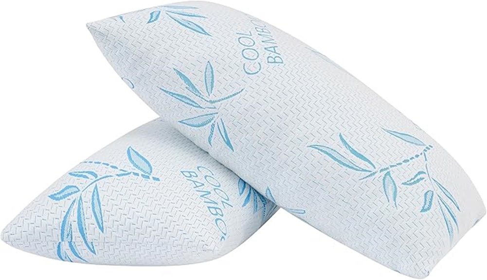 two pack bamboo rayon pillows