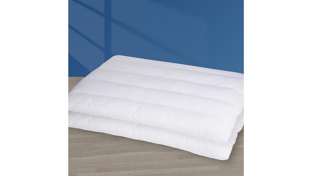 ultra flat pillow queen size